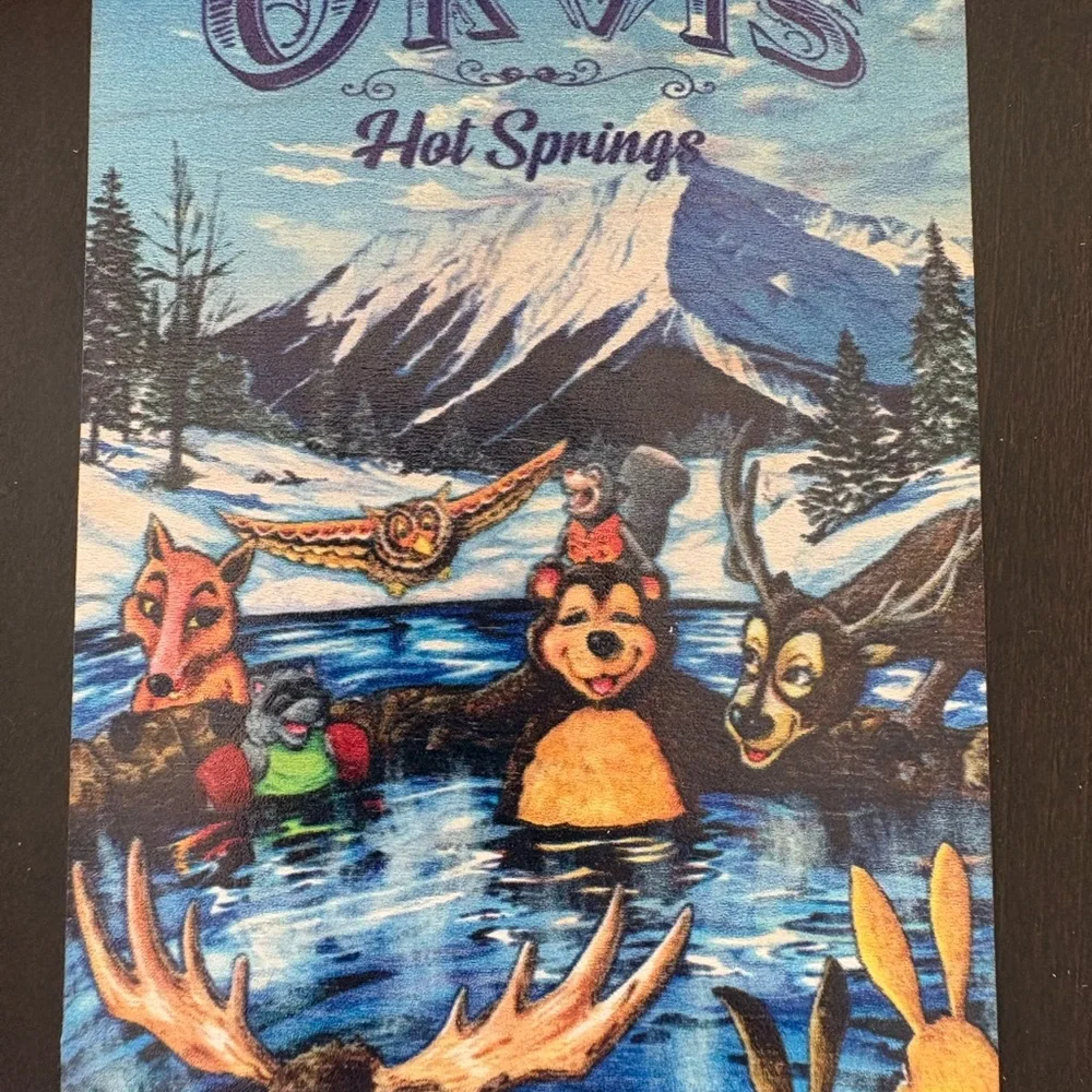 Orvis Hot Springs Ridgeway Colorado Wooden Mailable Postcard Unique Souvenir